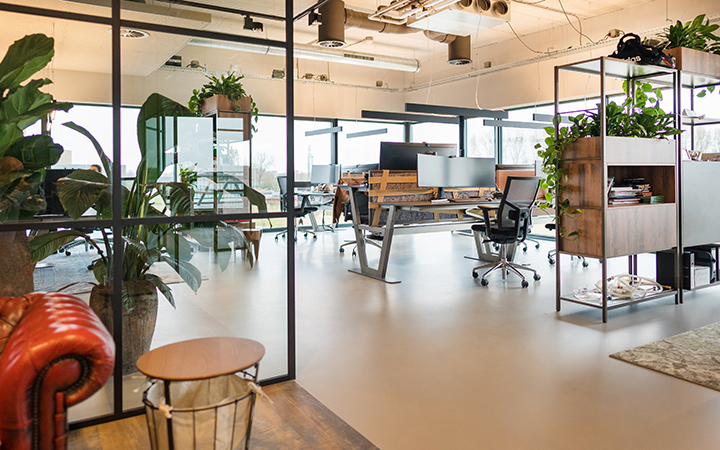 romynox office new building modern 02
